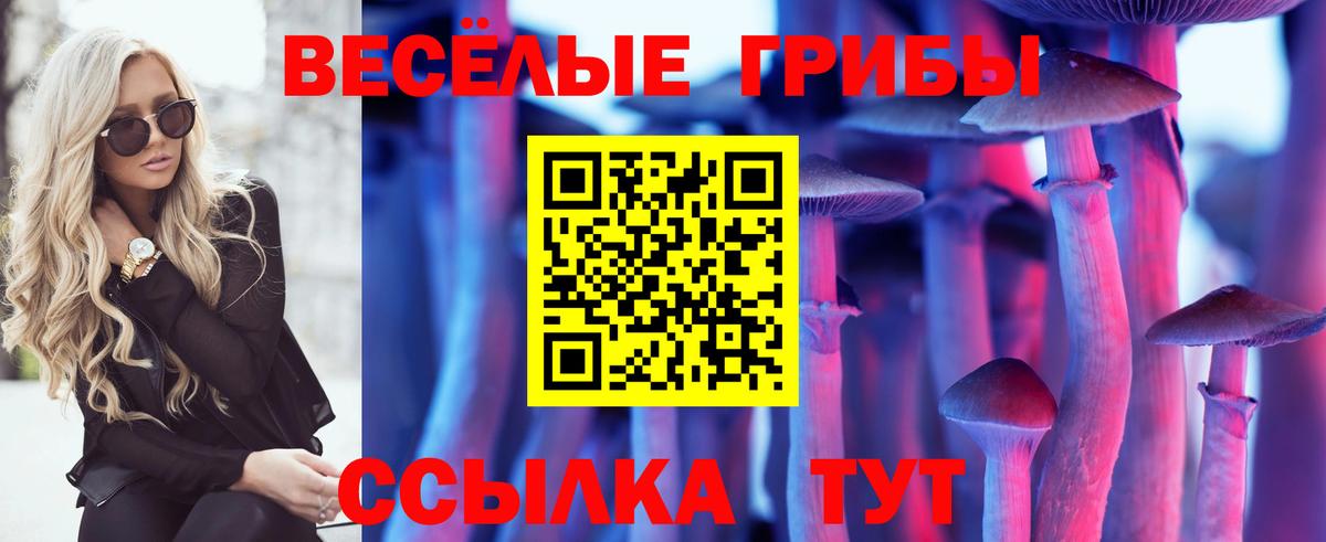 Псилоцибиновые грибы GOLDEN TEACHER Королёв